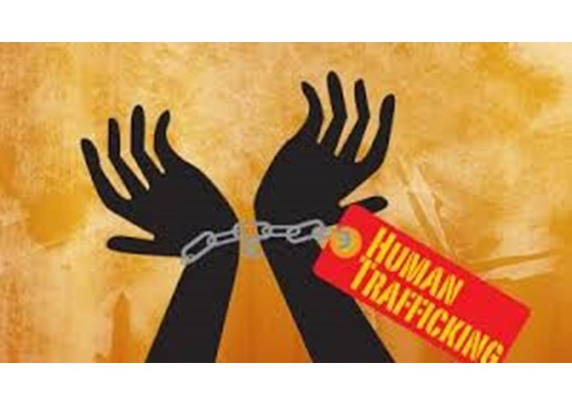 Anti-Trafficking Newsletter Vol 15 No 11