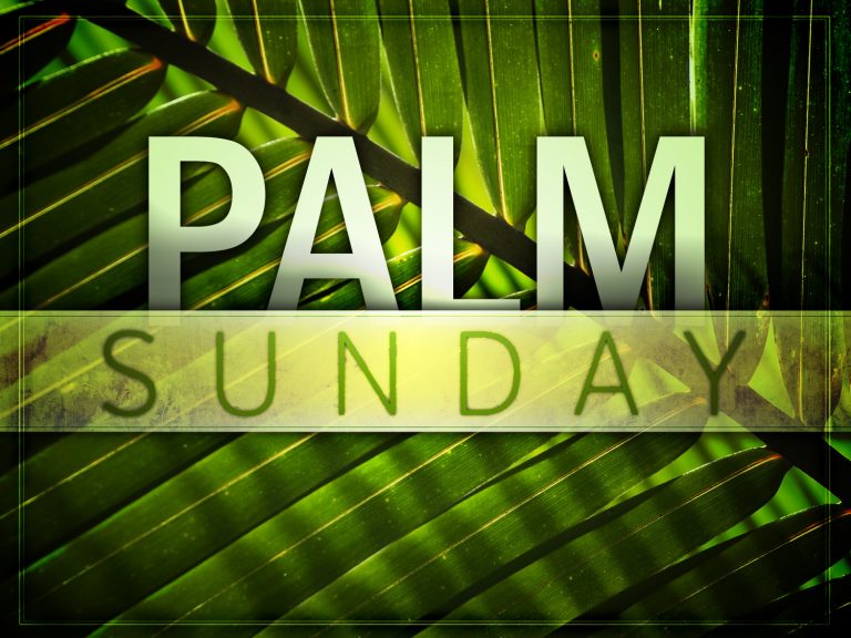 Palm Sunday and the Walk for Justice