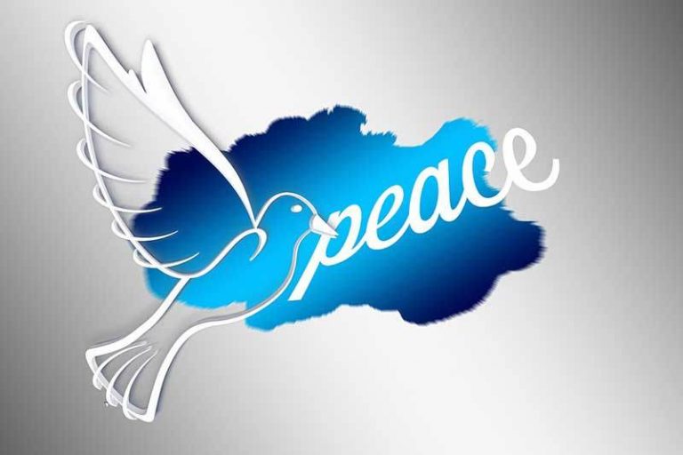 2019 World Day of Peace