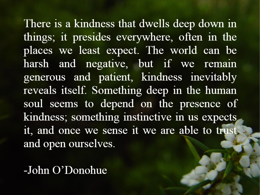 Divine Beauty: The Invisible Embrace by John O'Donohue - Books For