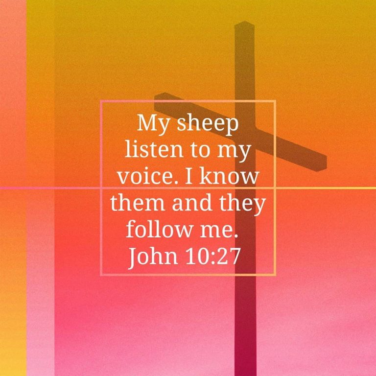 Fourth Sunday of Easter – Whose Voice are You Tuned Into?