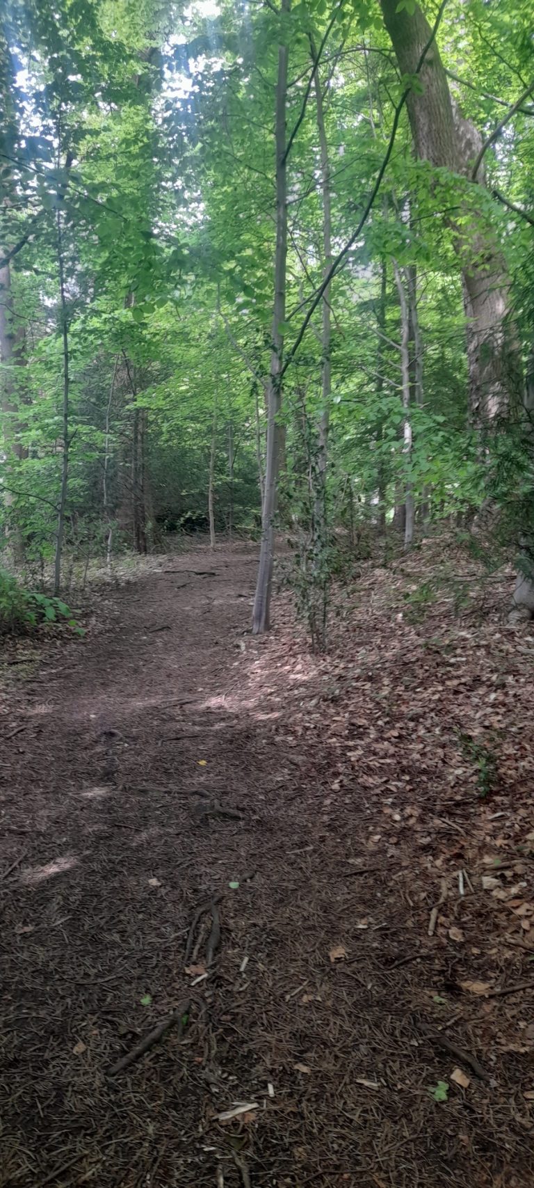 World Refugee Day 2025