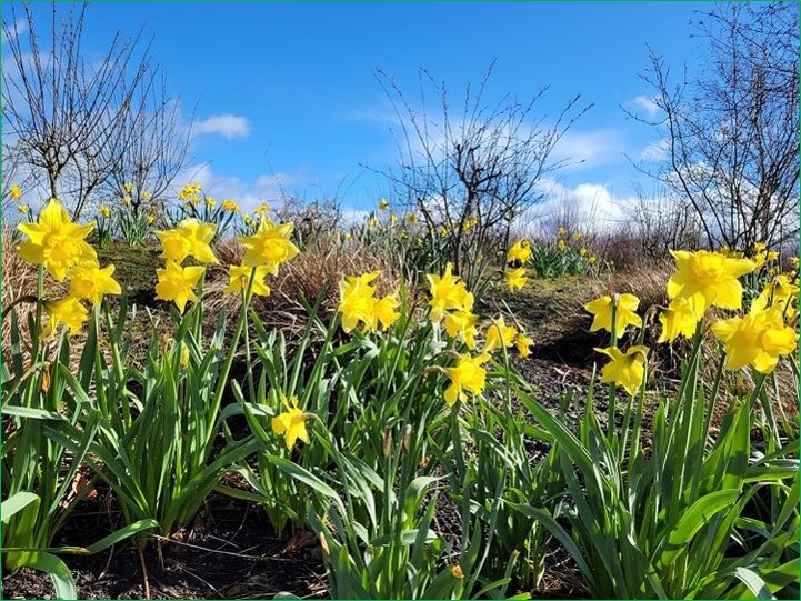 Spring Equinox at Solas Bhride
