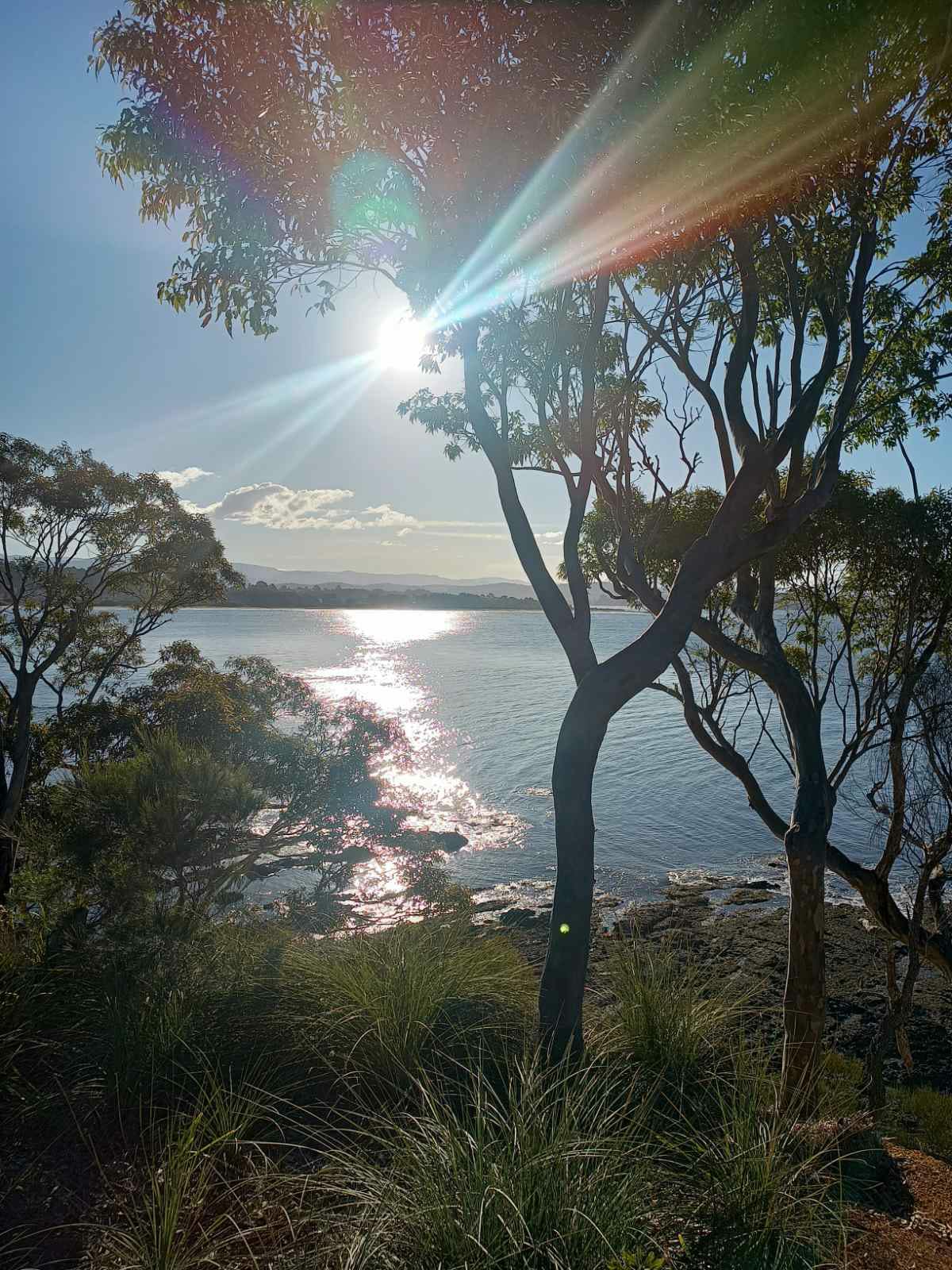 ‘Peace be with you all’