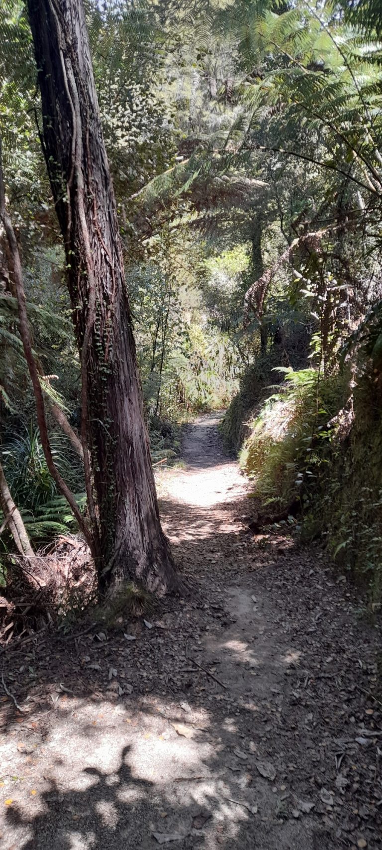 Ecological Way of the Cross