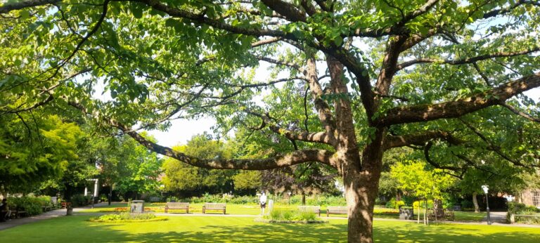 News from Talitha Kum and Networks