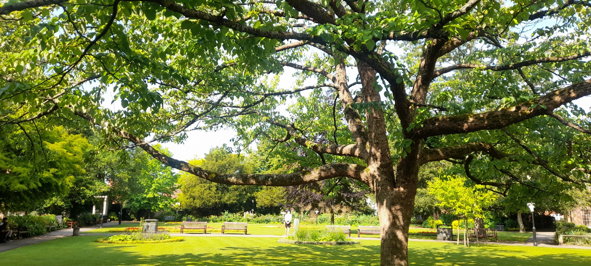 News from Talitha Kum and Networks