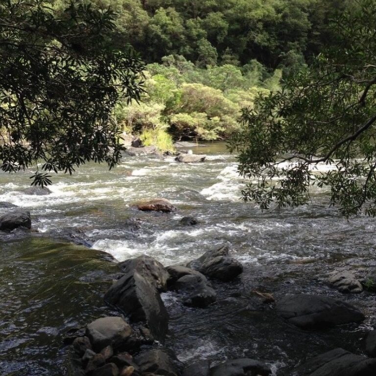 “Bridging Now to Next” 2025