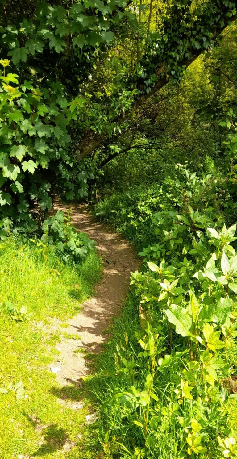 Anti-Trafficking Day in Europe