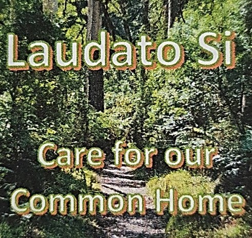An invitation from Laudato Si Movement…