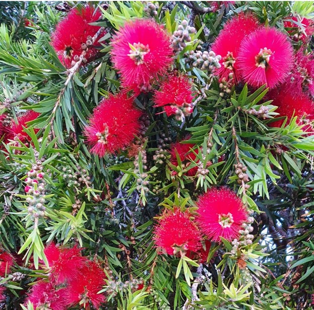 What’s happening at BASP?