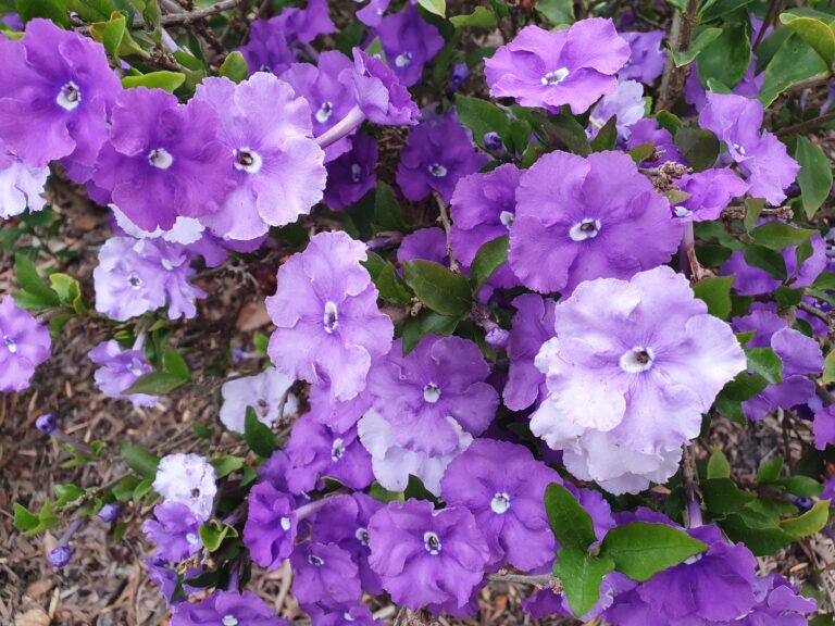 Open hearts, renewed hope…