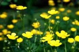 Welcoming the stranger – with kindness?